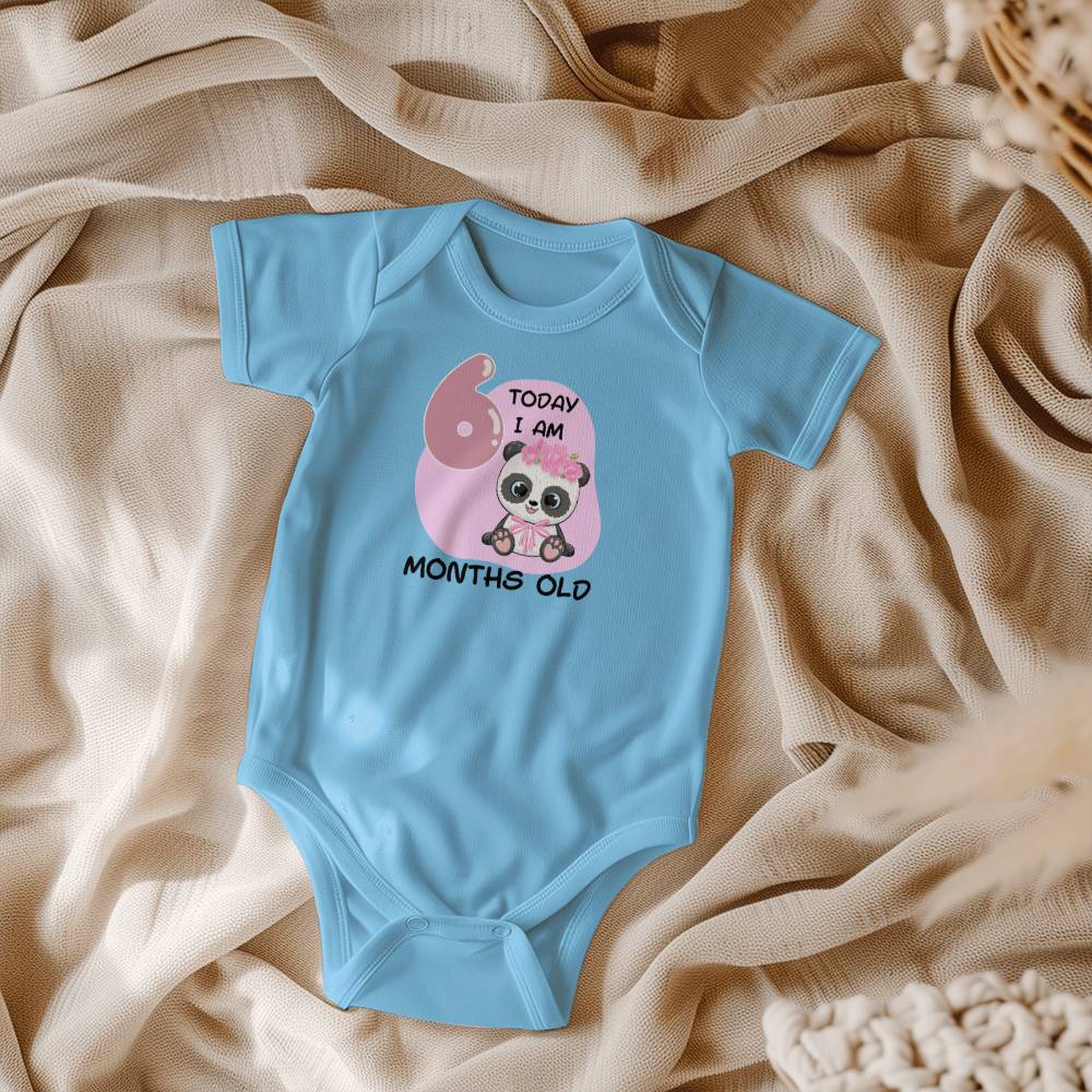 Pink Panda baby milestone onesie 6 months old, baby body, baby onesie